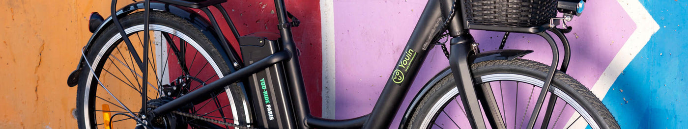 Recambios para Youin Paris