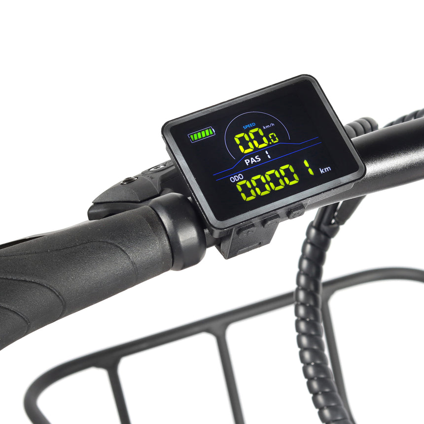 Bicicleta eléctrica Fat Bike plegable Youin Dallas