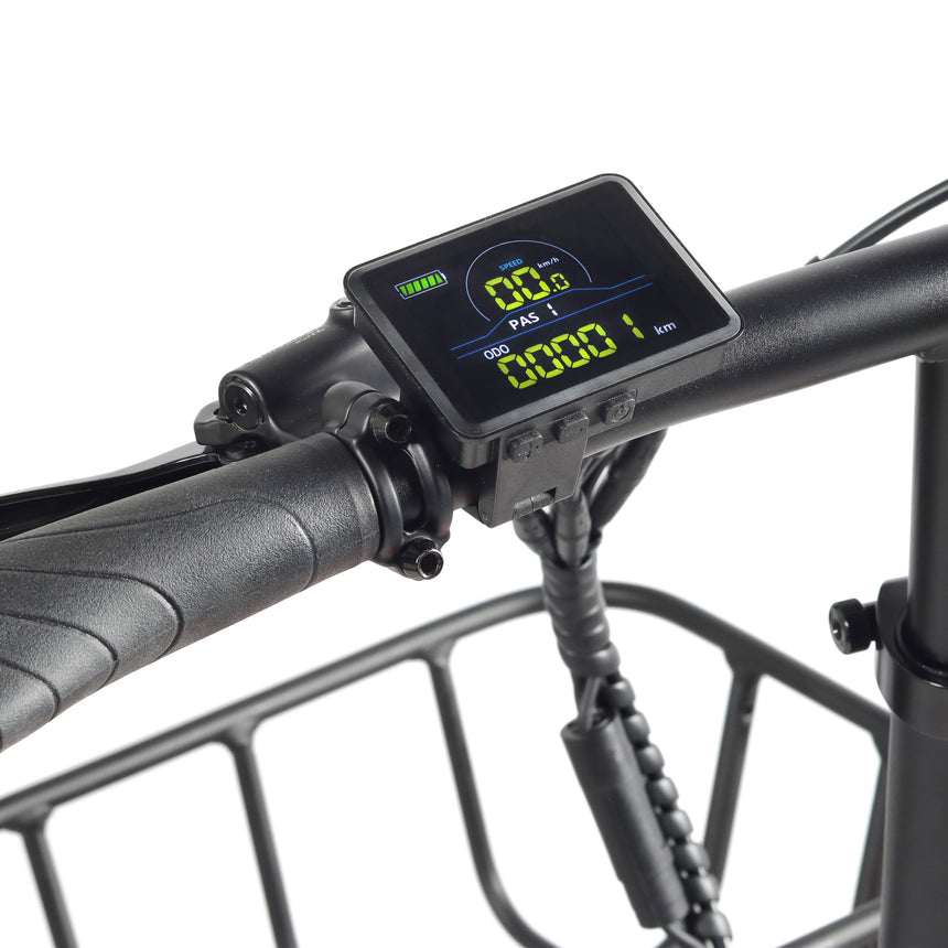 Vélo Fat Bike pliable électrique Youin Luxor