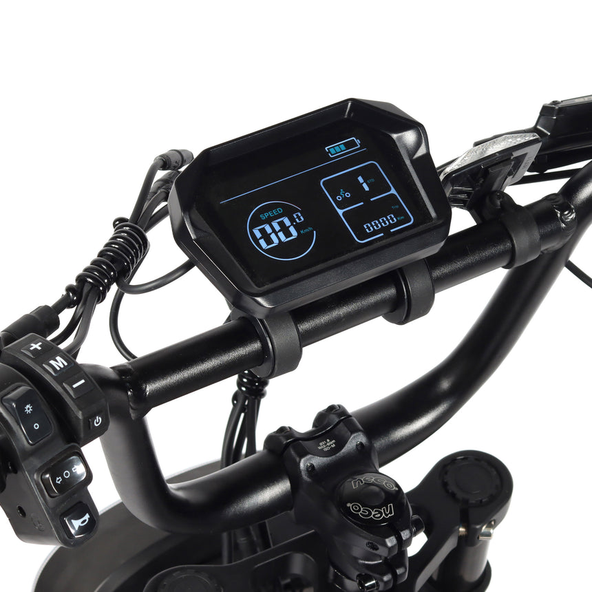 Bicicleta eléctrica Fat Bike Youin Miami