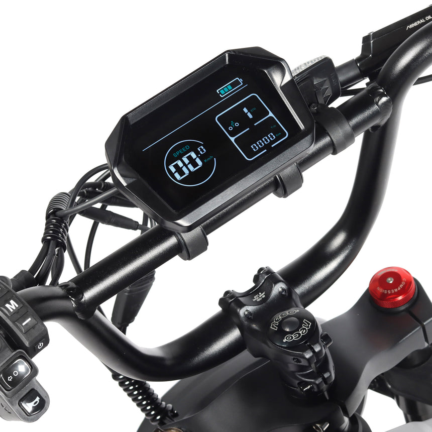 Bicicleta eléctrica Fat Bike Youin Las Vegas