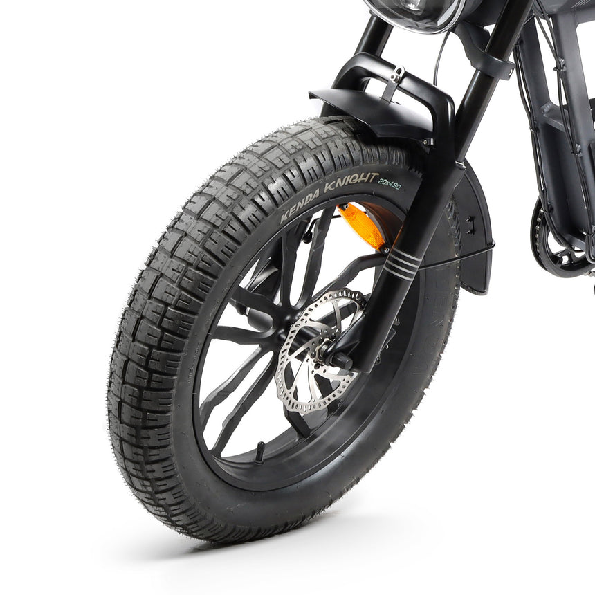 Bicicleta eléctrica Fat Bike Youin Las Vegas