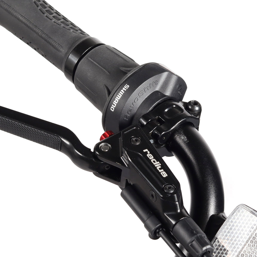 Bicicleta eléctrica Fat Bike Youin Las Vegas