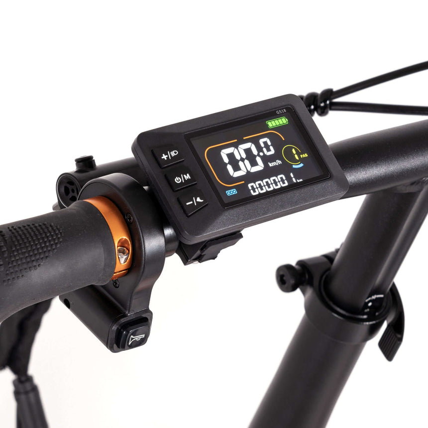 Bicicleta eléctrica Fat Bike plegable Youin Texas