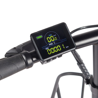 Vélo électrique pliable Fat Bike Youin Luxor Pro