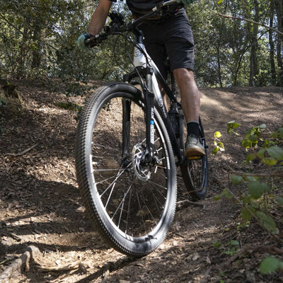 Bicicleta eléctrica de montaña YouinEverest