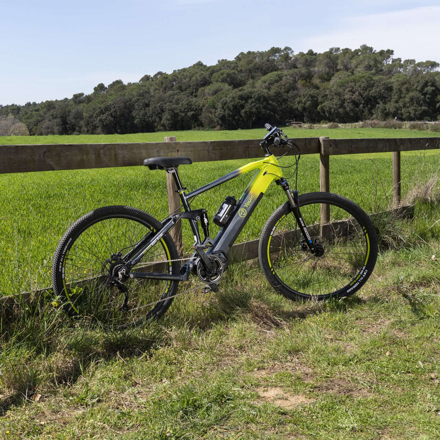 Bicicleta eléctrica de montaña Youin You-Ride Mont Blanc