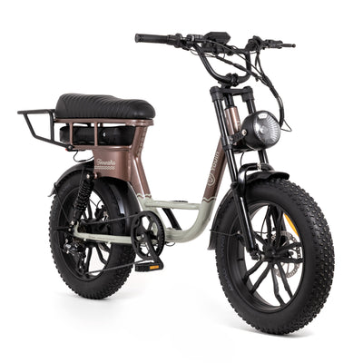 Bicicleta eléctrica Fat Bike Youin Formentera