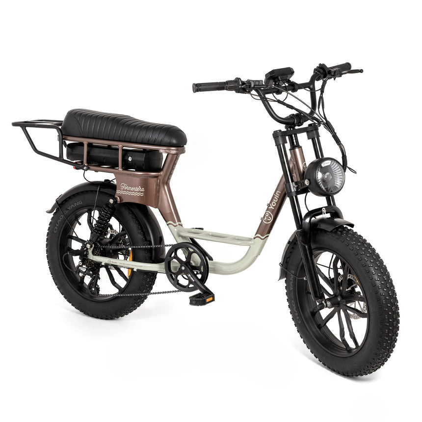 Bicicleta eléctrica Fat Bike Youin Formentera