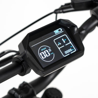 Bicicleta eléctrica Fat Bike Youin Formentera