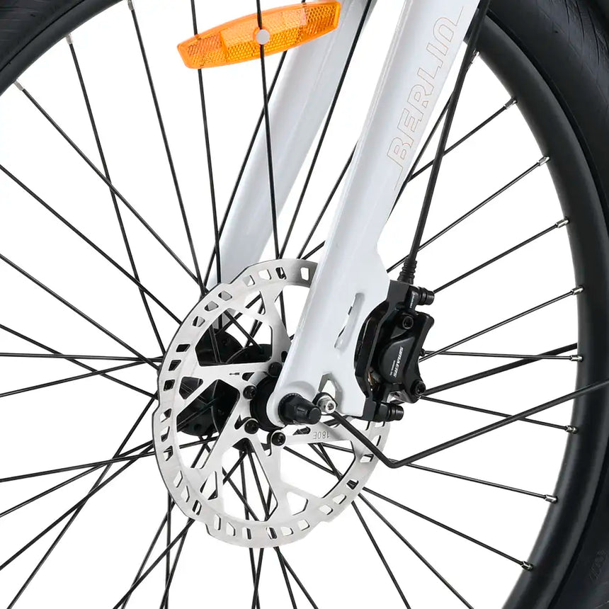 Bicicleta elétrica cargo Youin Berlin Pro