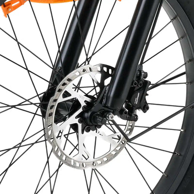 Bicicleta elétrica cargo Youin Dover